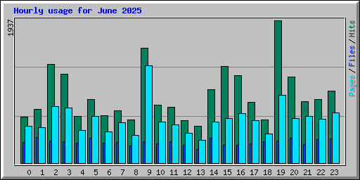 Hourly usage for June 2025