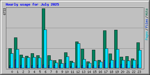 Hourly usage for July 2025