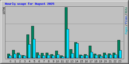 Hourly usage for August 2025