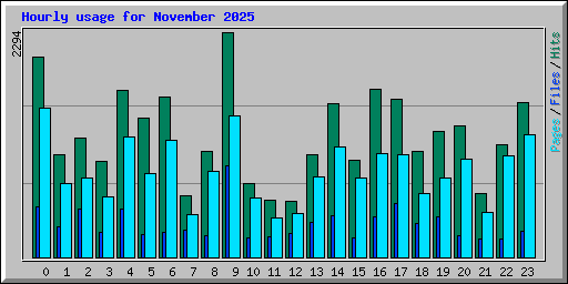 Hourly usage for November 2025