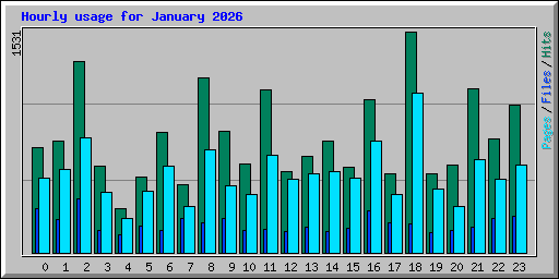 Hourly usage for January 2026